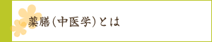 薬膳（中医学）とは