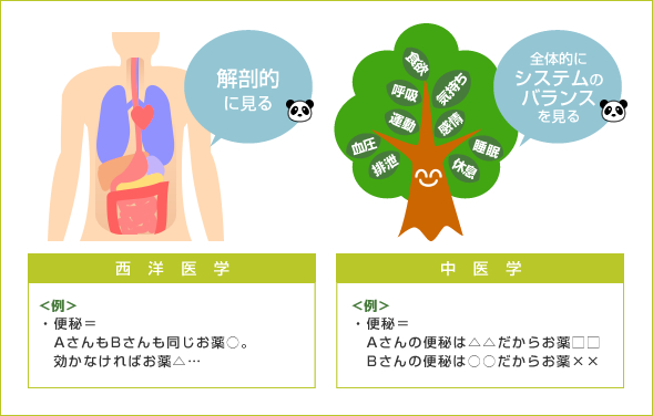 中医学は西洋医学の「解剖的に見る」と比べて、「全体的にシステムのバランスを見る」ということに重点を置きます。